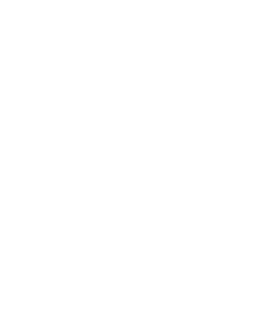 ikonka